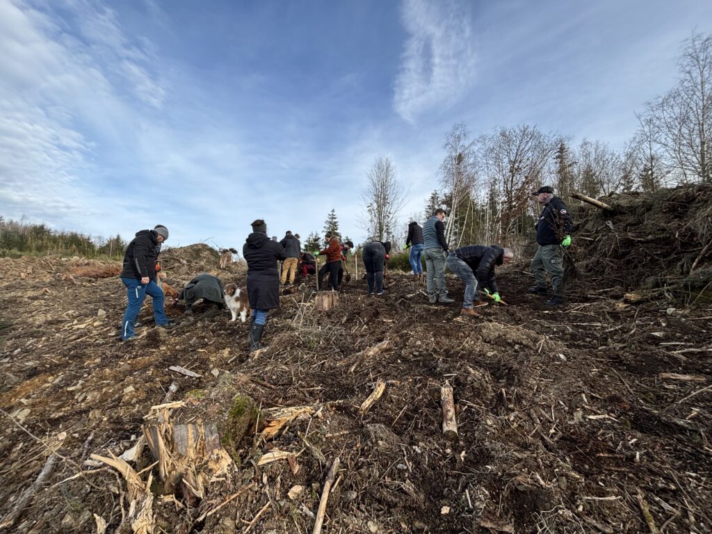 Große Pflanzaktion der Klimainitiative der Druck- und Medienverbände