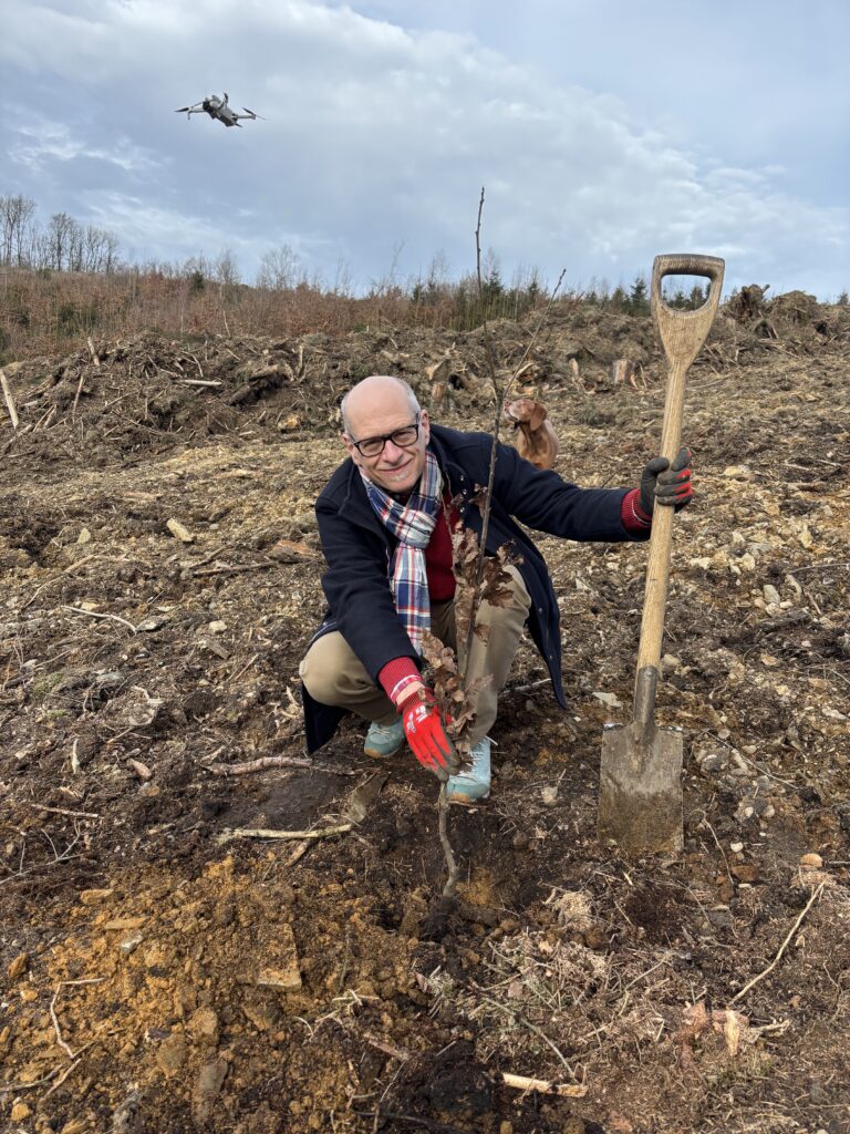 Große Pflanzaktion der Klimainitiative der Druck- und Medienverbände